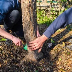 Les activités pratiques